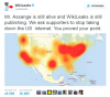 wikileak.png