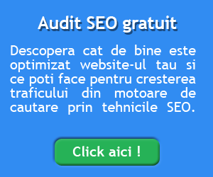 Audit-SEO-gratuit-website.png